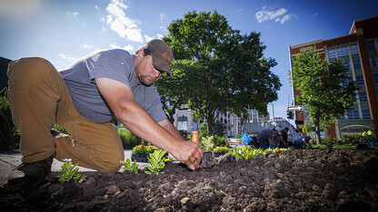 Sam Dolezal plants vincas outside of the Van Brunt Visitors Center.