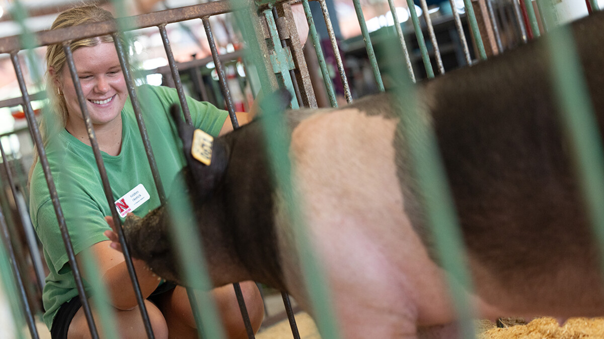 Kristen Herrick greets a 4-H pig. As a 4-H'er herself, she showed pigs, and started a business selling show pigs.