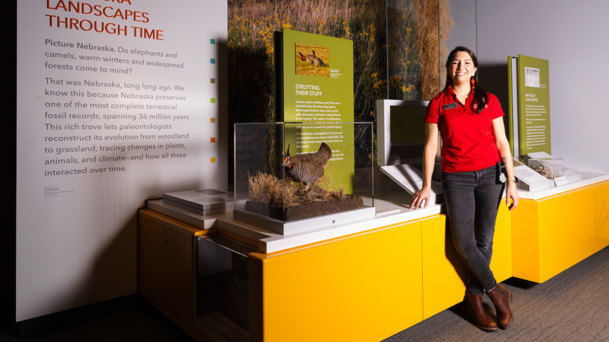 Ann Spilker, extended learning coordinator at the University of Nebraska State Museum, stands next to the Nebraska prairie display on the fourth floor of Morrill Hall. Talking about prairie roots with young campers made Spilker realize she wanted to be an educator.