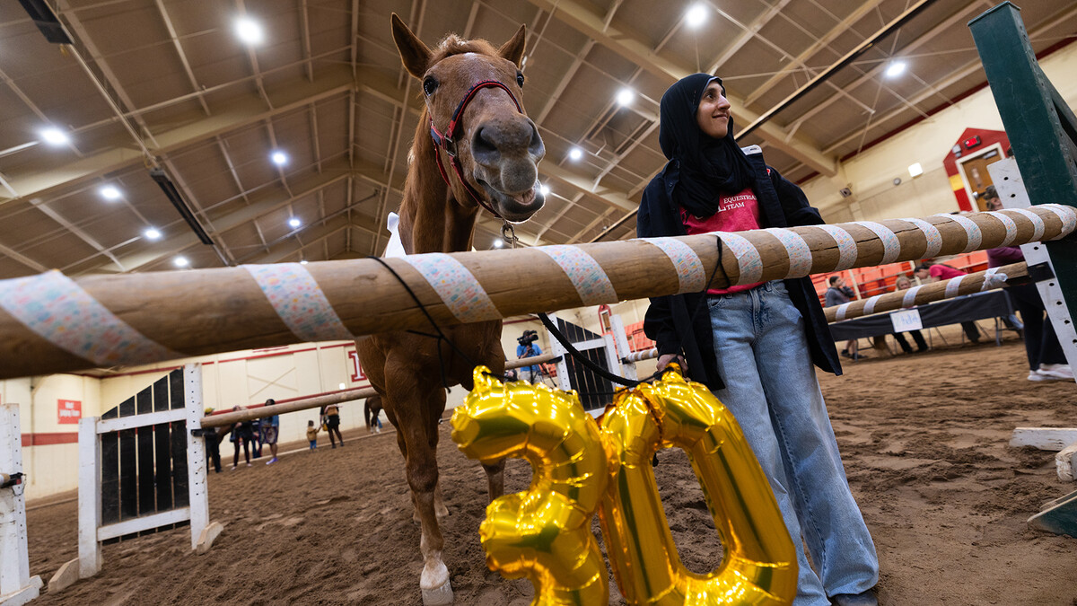 DT, a horse with the UNL Equestrian Team, stands next to a student during DT's 30th birthday celebration on March 31.