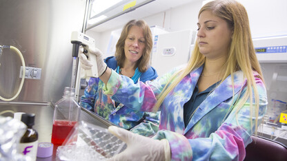 Melanie Simpson (left) supervises doctoral student Abby Gelb, a trainee in UNL's NIH-funded Molecular Mechanisms of Disease program. 