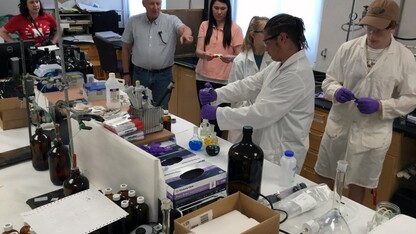 Students work in a lab.