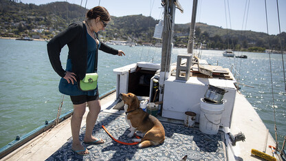 Nebraska's James Wooldridge recently earned a Hearst Award with a photo story about a woman living on a boat off the coast of San Francisco. Shown here, the woman, Kristina, tries to get her dogs into the cabin of her boat so she can make a trip to shore. Her dogs are a big reason she decided to buy a boat.
