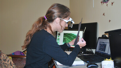 Cheryl Dunn explains the structures of crested wheatgrass to her Wildland Plants students during class on Zoom.