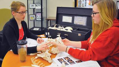 Pre-nursing students (from left) Megan Drozda and Ellen Cook study the human skeletal system using a kit checked out from Love Library. The library has recently expanded services and added new spaces as it prepares for the Love North Learning Commons to open.