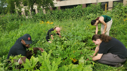 Student Organic Farm