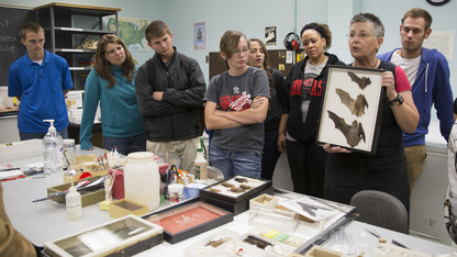 UNL's Trish Freeman (second from right) discusses Nebraska bats during a natural resources orientation class in 2014.