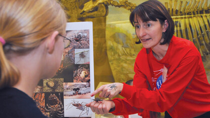 Nebraska's Eileen Hebets discusses her arachnid research with a teenager during a Sunday with a Scientist program at Morrill Hall.