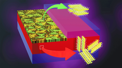 Rendering of polymer crystallization