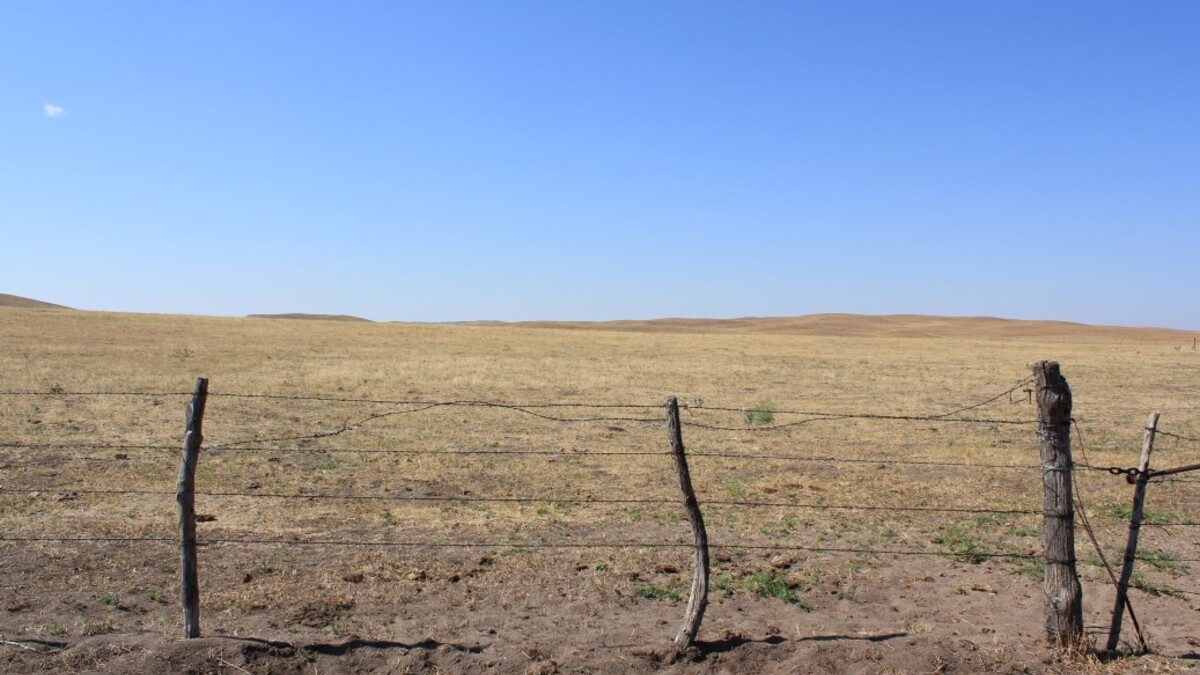 Even though we don’t know for sure how pasture conditions will turn out it’s never too early to make drought management plans. Photo courtesy of Troy Walz.
