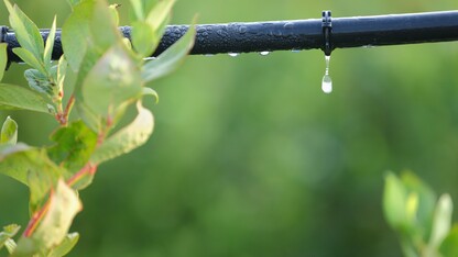 Irrigation Drip System