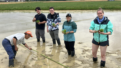 For the first week of the trip, students stayed at Kobe University, where they learned about research in the agricultural sciences. 