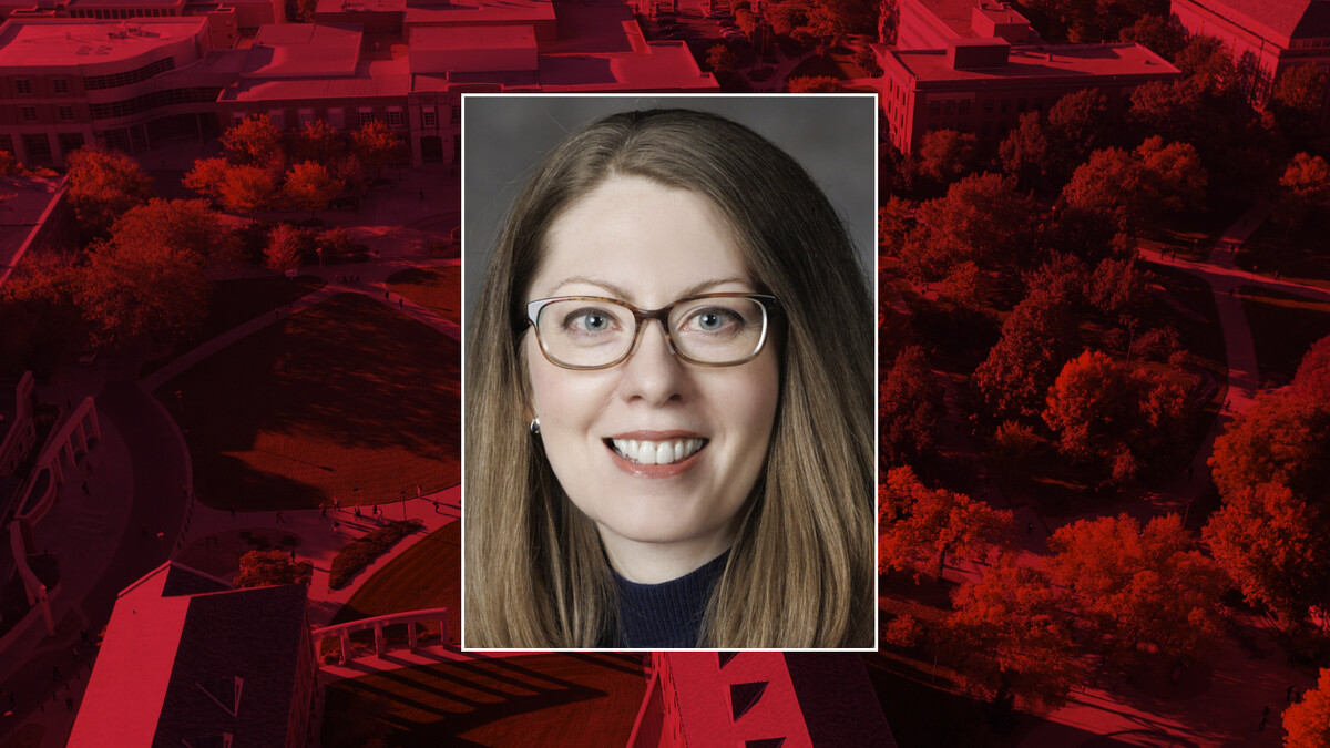 Mugshot of Lisa Franzen-Castle.