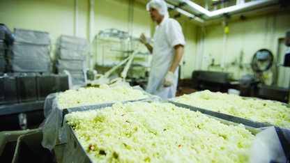 A UNL employee makes cheese in the Dairy Store on East Campus.