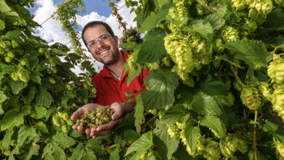 Nebraska reseracher David Mabie holding hops plants