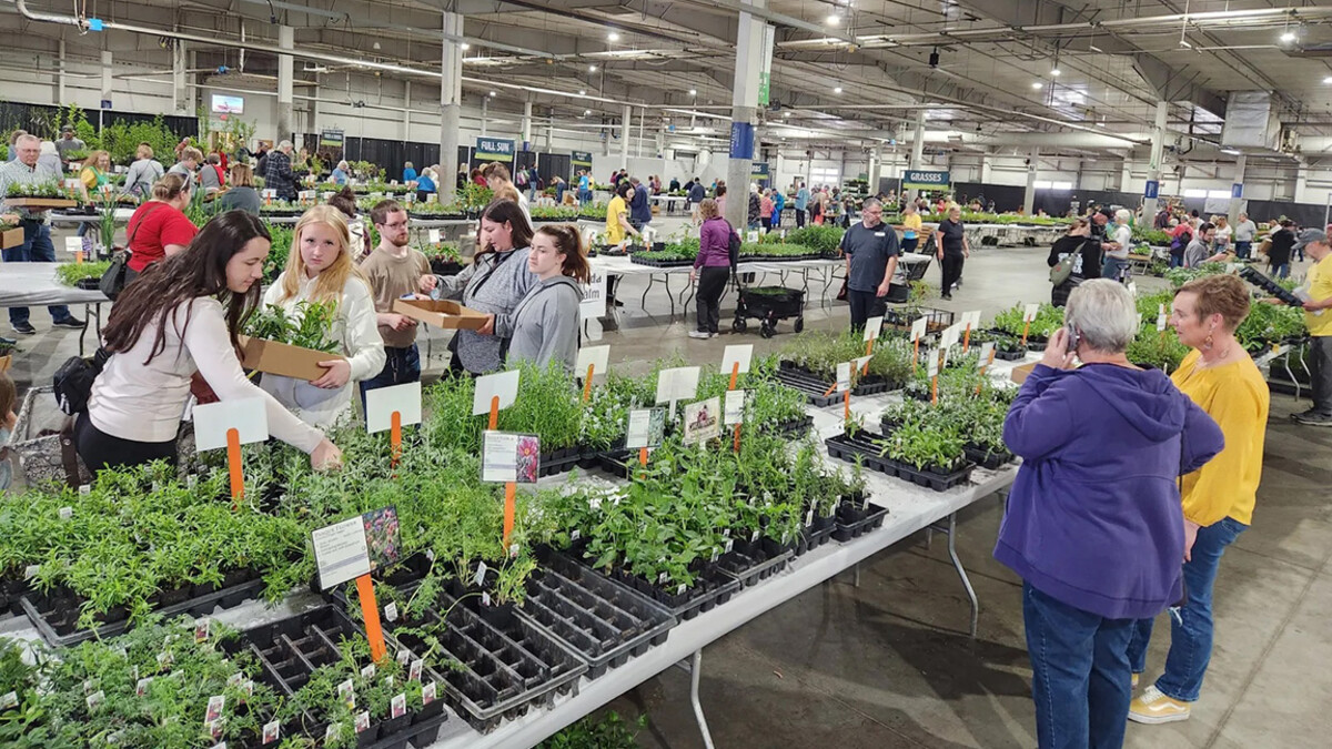 Shoppers mill about among many plants at the Sandhill Global Events Center, for the Spring Affair Plant Sale.