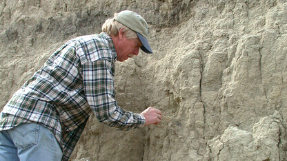 Steven Holen works to reveal a fossil. Holen and his wife, Kathleen Holen, are part of a research team that released information on humans arriving in North American 1,000 centuries earlier than previously believed.