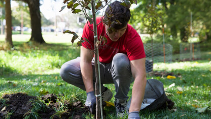 Tree Planting