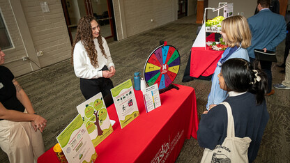 sustainability booth