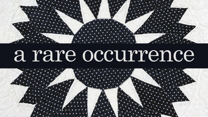 "A Rare Occurrence" at the International Quilt Study Center & Museum will feature nine quilts celebrating the solar eclipse.