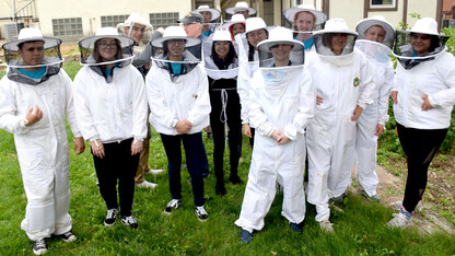 Young Nebraska Scientists learn about bee colonies during a Biology Explorations Camp.