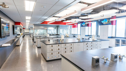 The largest of Hamilton Hall’s newly renovated lab spaces can accommodate students taking organic, inorganic and analytical chemistry. Craig Chandler | UComm