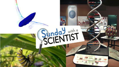 Fall Sunday with a Scientist topics include arthropods, DNA, and aircraft and vibrations.