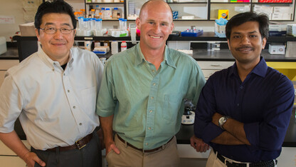Research team members (from left) Hideaki Moriyama, Jay Storz and Chandrasekhar Natarajan.