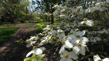 UNL garden tours