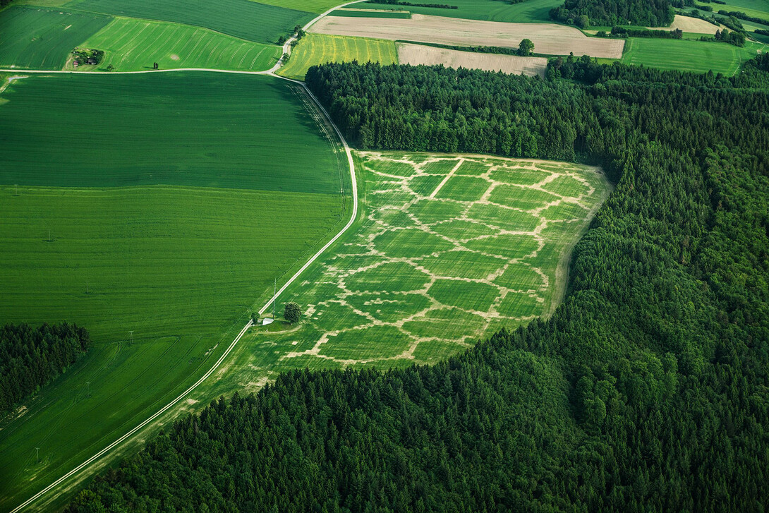 Avena+Test Bed: Agricultural Printing and Altered Landscapes, an experiment to explore the relationship between landscape, agriculture and digital fabrication by Benedikt Gross, one of the speakers at the Flyover Summit 2021.