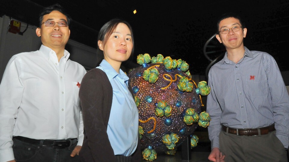 Nebraska researchers (from left) Qingsheng Li, Wei Niu and Jiantao Guo developed a new approach that could improve the effectiveness of the HIV vaccine.