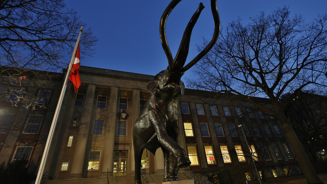 Nebraska's iconic Archie the mammoth sculpture has been in place welcoming NU State Museum visitors for 20 years. Designed by Nebraska artist Fred Hoppe, the sculpture is based on the museum's record-setting fossil mount of a Columbian mammoth.