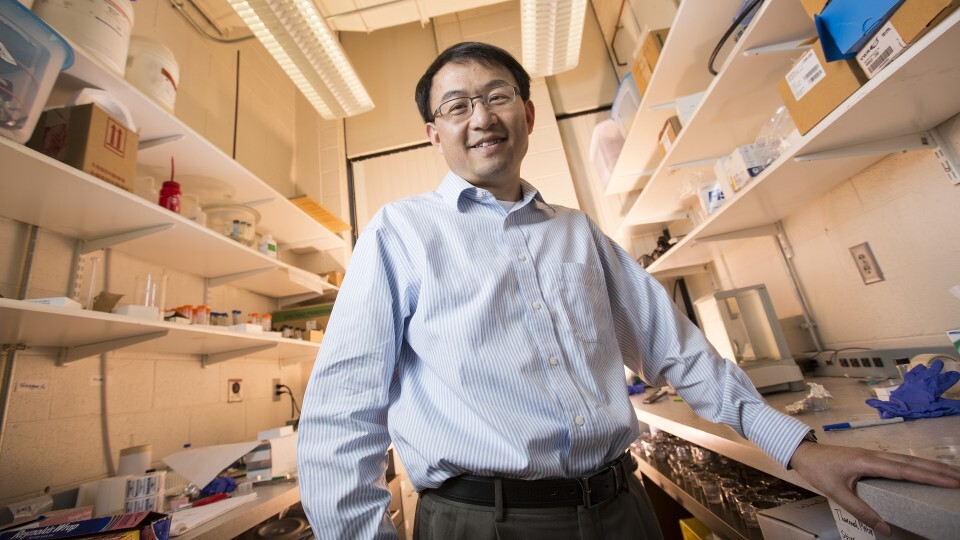The design could bolster SONAR applications ranging from communication to navigation to defense, said co-author Li Tan, associate professor of mechanical and materials engineering at Nebraska.