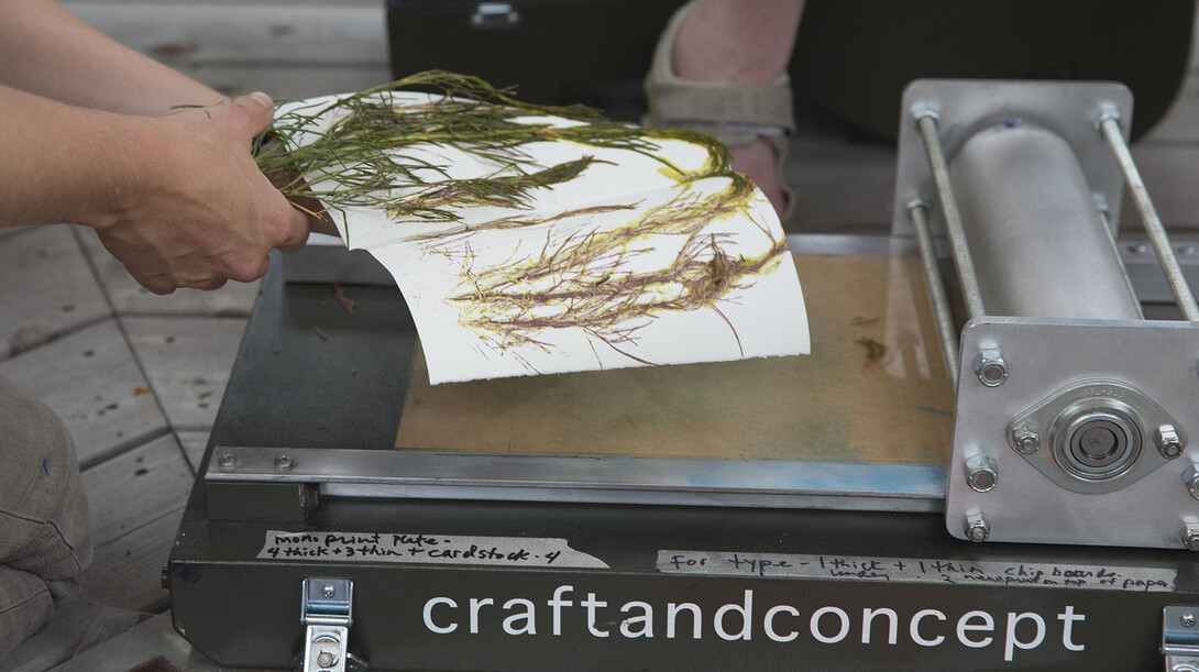 A plant print crafted by a student while in the field.