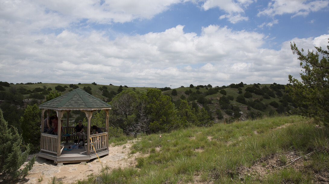 Students work with Karen Kunc to create prints in a gazebo overlooking UNL's Cedar Point Biological Station.