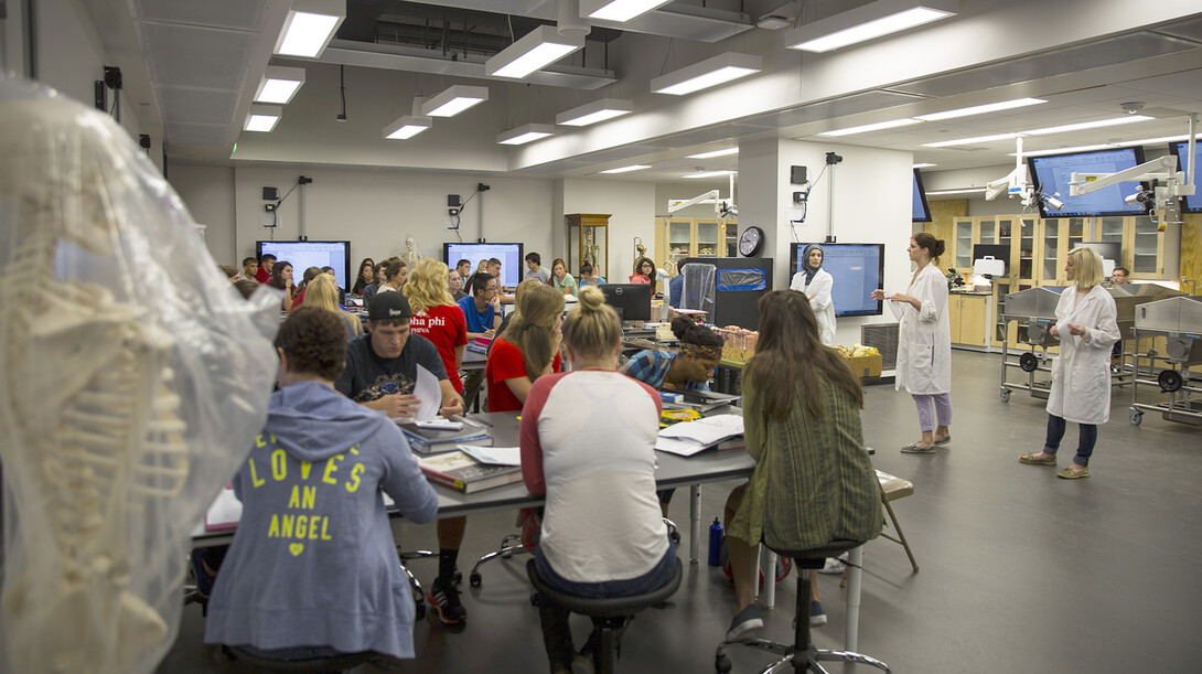 The redesigned anatomy lab in UNL's Manter Hall includes room for 60 students. the space includes six cadaver tanks, a specialized high-definition camera system, group work stations and an air exchange system that replaces the air in the lab 22 times each hour.