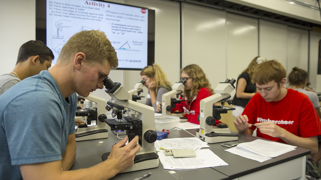 UNL students Dalton Hellman (left) and Forrest McKinley look at and create a slide during a biological sciences lab activity in Manter Hall.