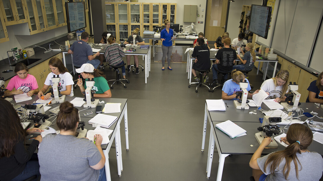 A redesigned biological sciences lab in UNL's Manter Hall. Four of these reconfigurable labs opened as part of the first phase of the project.