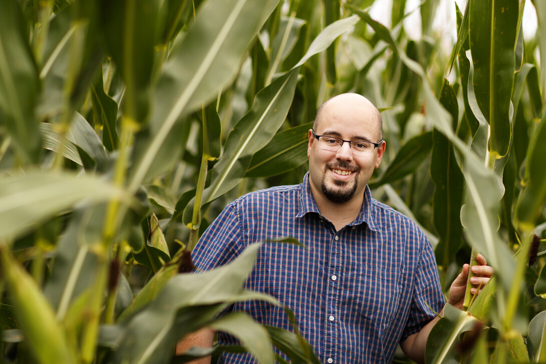 By measuring the water use of plants on an hourly or even minute-by-minute basis, Nebraska's James Schnable and colleagues hope to better understand and eventually improve how crops respond to drought.  Craig Chandler | University Communication