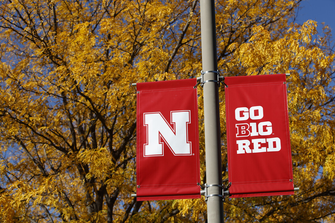 The Office of the Executive Vice Chancellor has announced its annual selection of faculty who will attend two Big Ten Academic Alliance leadership programs this year.