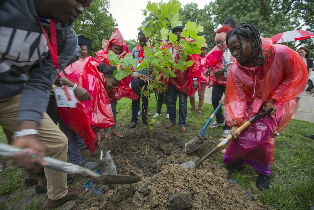 Mandela Washington Fellows plant a London Planetree on East Campus during a July 18 International Nelson Mandela Day ceremony.