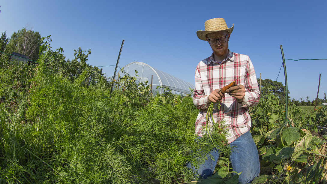 Nash Leef examines a carrot grown on Bugeater Farms. The student-led organic farm was formed in 2012. Leef assumed management of the space in fall 2016.