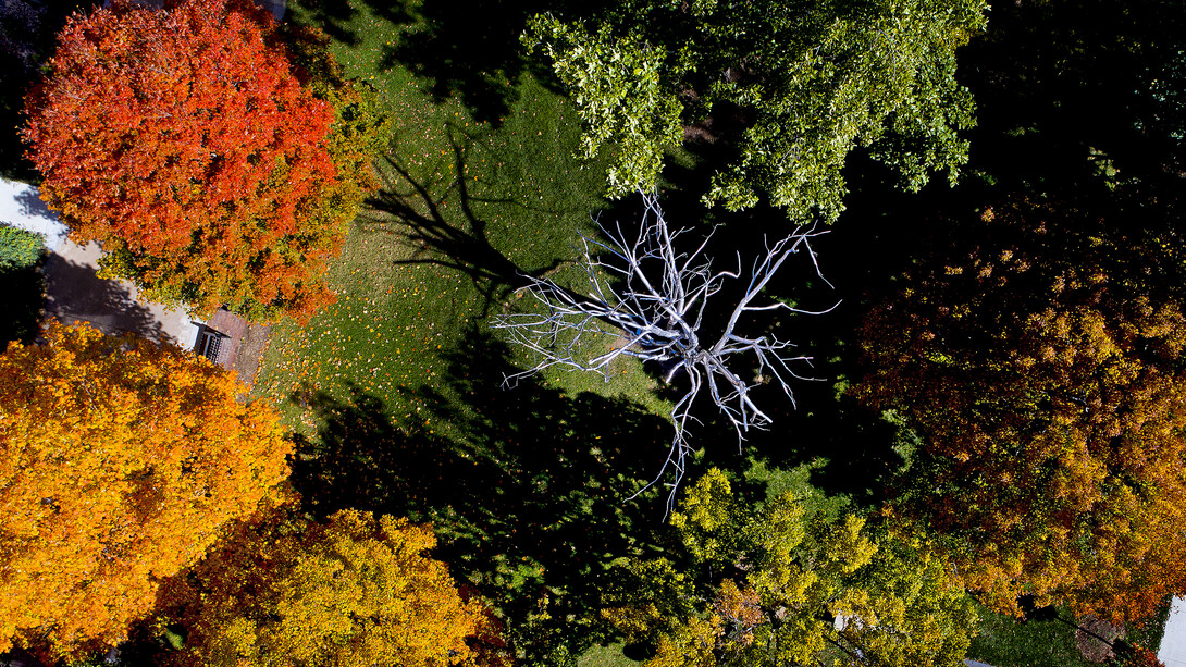 Fall color is in the air at the University of Nebraska–Lincoln's City Campus.