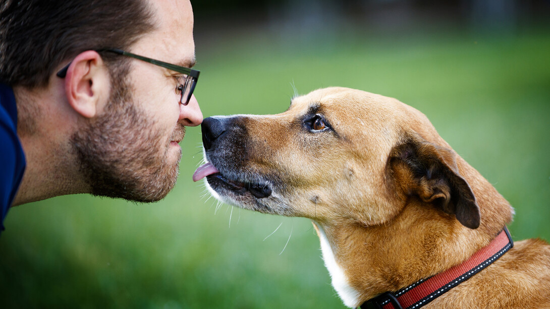 Jeffrey Stevens, associate professor of psychology, goes nose-to-nose with Koda, his Louisiana Catahoula Leopard dog. Stevens’ new Canine Cognition and Human Interaction Lab will open with a public event on Aug. 11.