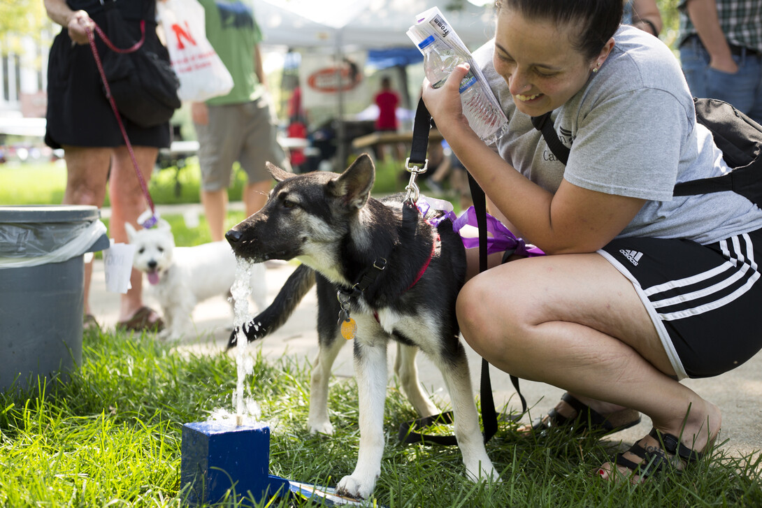 DogFest