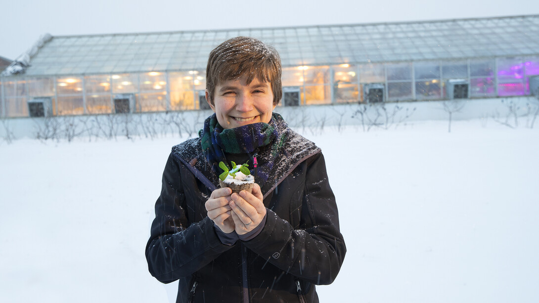 Rebecca Roston, assistant professor of biochemistry, holds a pea plant outside the Beadle Hall greenhouses.  Roston, who recently earned a National Science Foundation CAREER award, is studying how more than 30 species of plants respond to freezing.