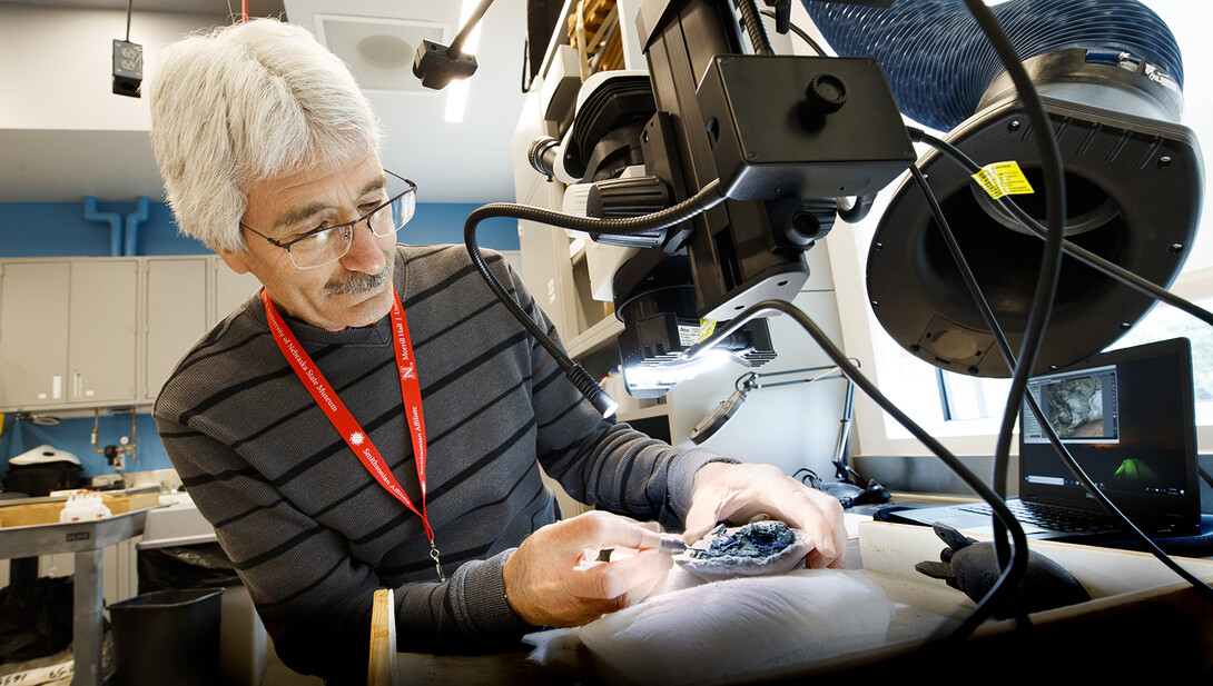 Rob Skolnick works to remove rock from around a lemur fossil in Morrill Hall's Visual Lab on the museum's fourth floor.