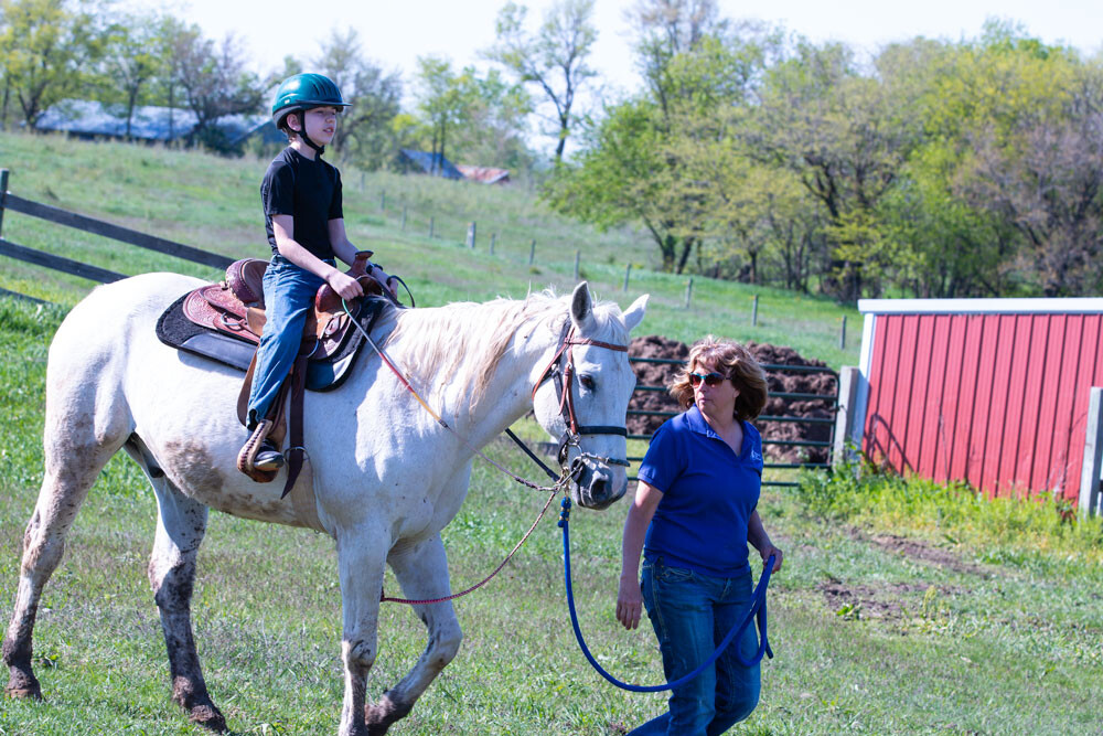 Horses for Healing