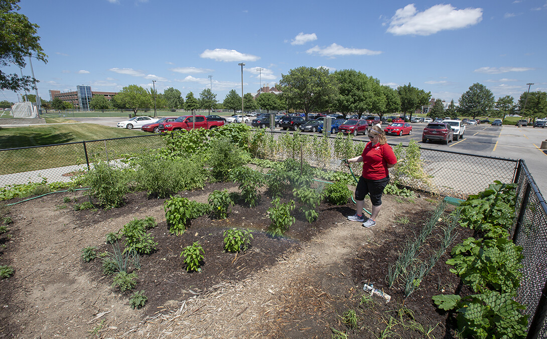 University housing and landscape services employees worked together to plan for the garden while the Willa Cather Dining Center was being planned. This is the first growing season that the garden has been in use.