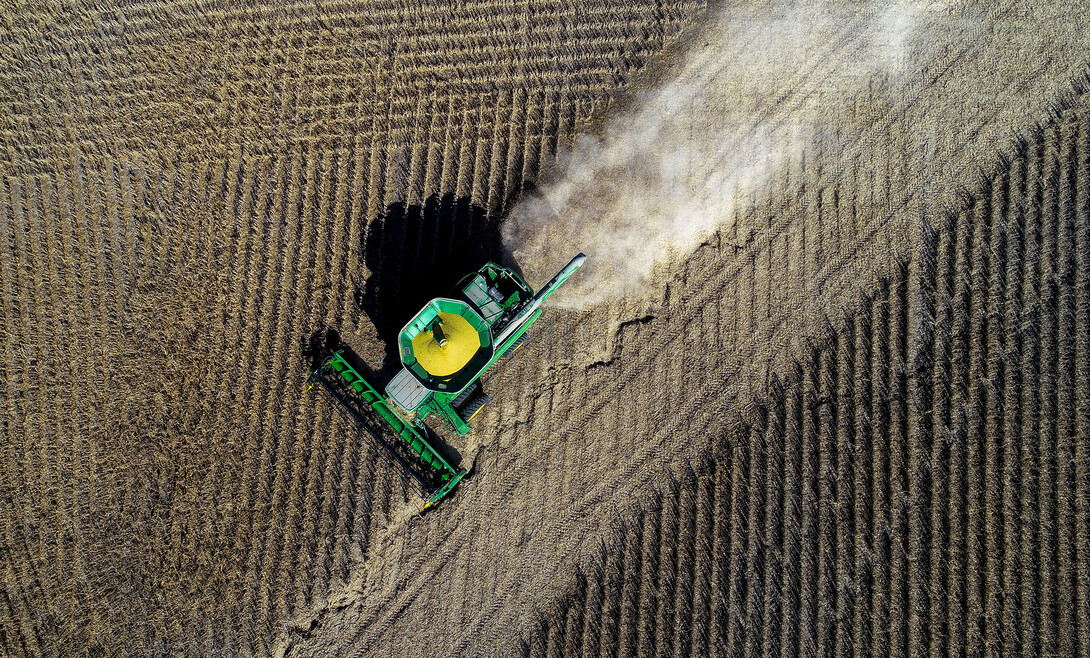 Soybean harvest